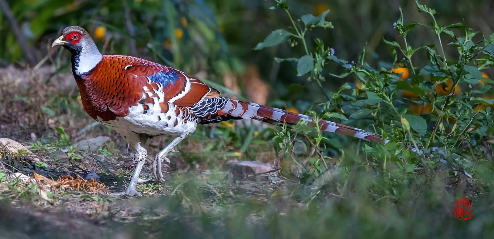 华中华北华南华东怎么区分,华中和华南对比