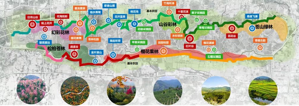 枣庄凤凰绿道进展与施工,枣庄市凤凰绿道项目是什么