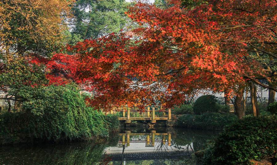 上海五大园林是哪五大园林,上海的五大园林