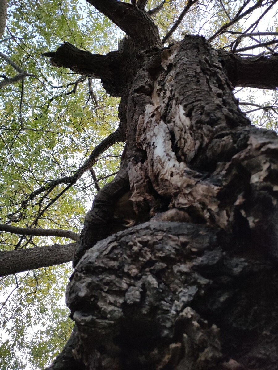 天堂里的姥姥,在天堂的姥姥您还好吗