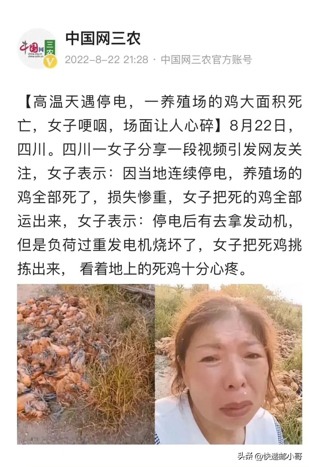 重庆高温干旱视频,高温干旱四川