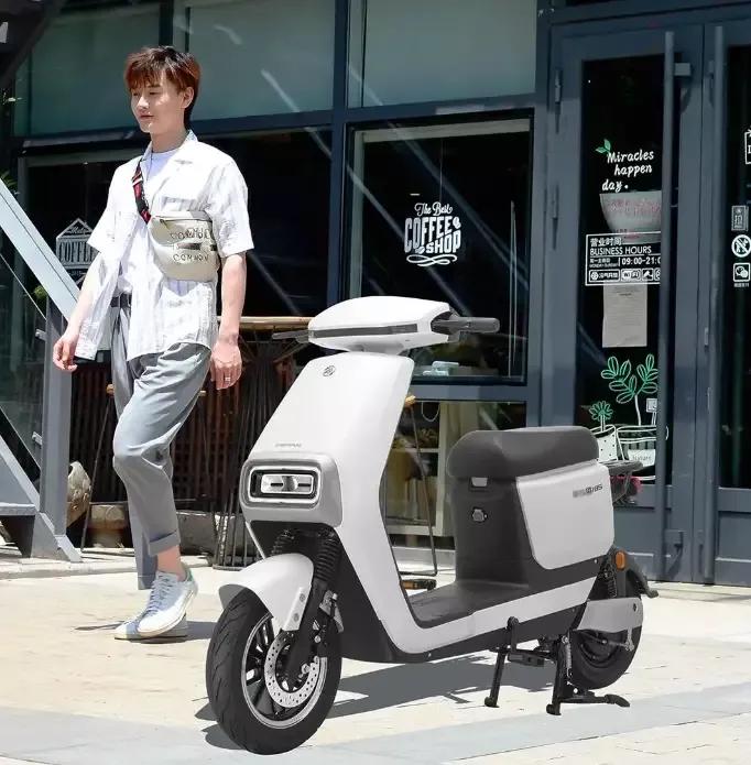 爱玛和雅迪电动车国产车型哪个好,爱玛跟雅迪电动车哪个好