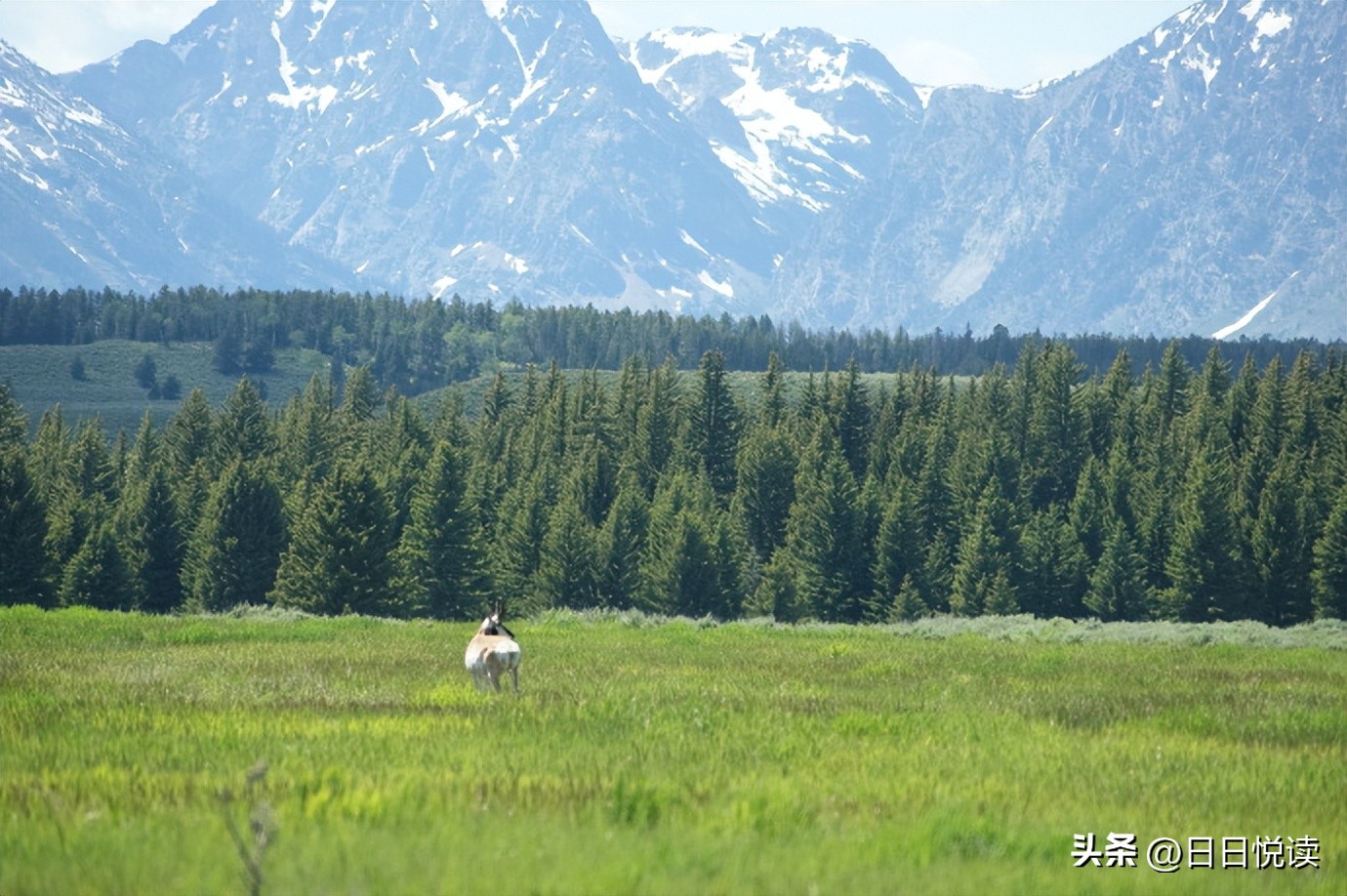 美国黄石国家公园经典风景图片,美国黄石国家公园在地图怎么找