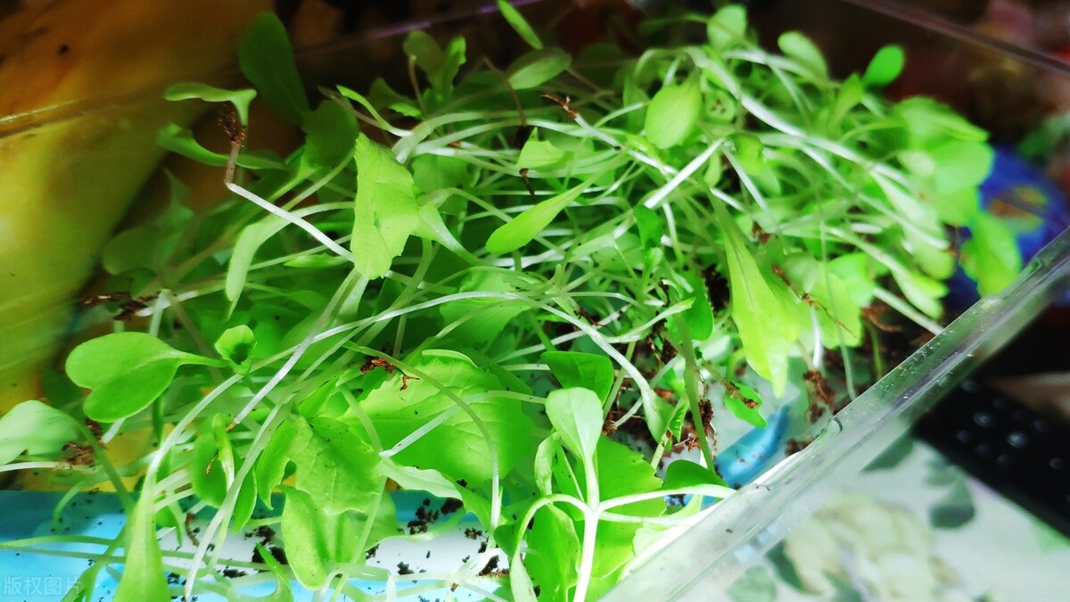 淘宝发布年度十大宝贝,淘宝公布十大宝贝