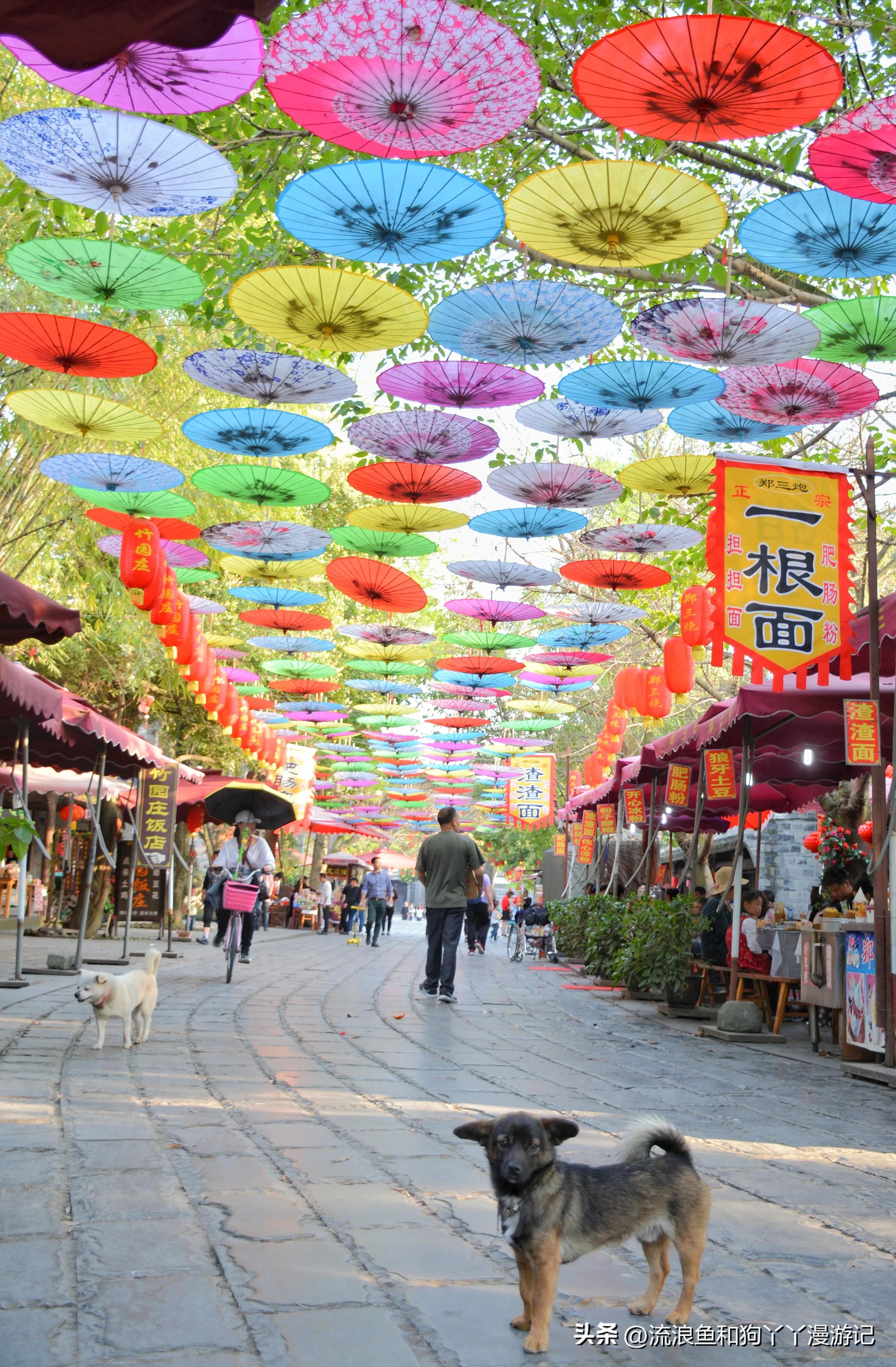 四月份成都近郊一日游好去处,2022成都近郊看雪一日游最佳去处