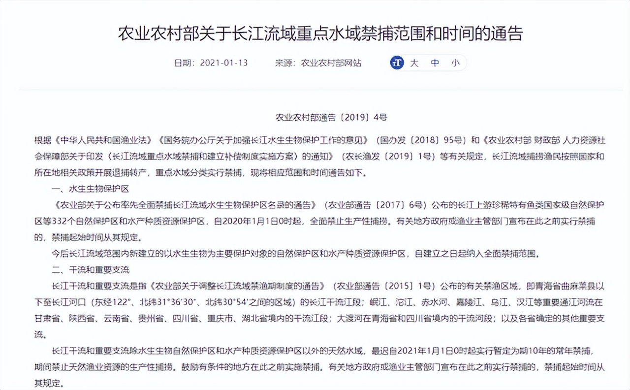 痛心：“中国淡水鱼王”灭绝！中华匙吻鲟，终于还是没迈过这道坎