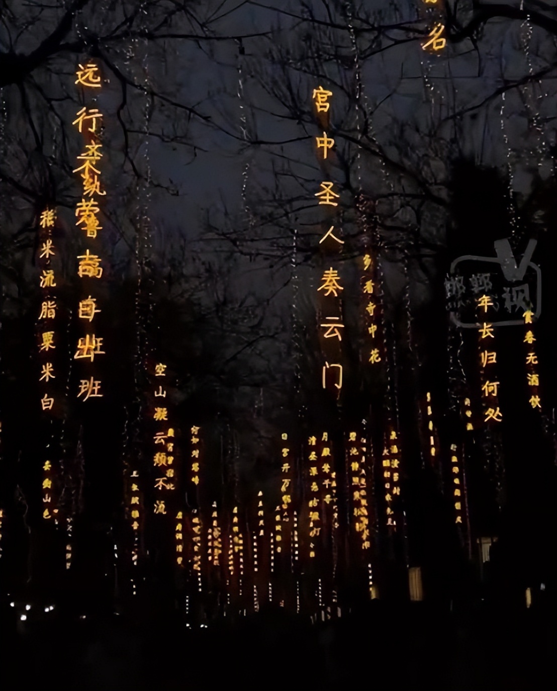 就在明天！万居·咏月-大万元宵节诗词灯会即将开幕！