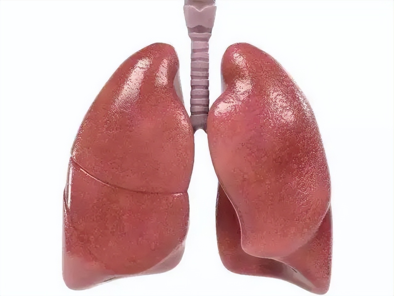 五脏好不好看看脸色就知道,五脏生病看脸就知道