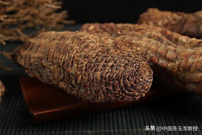 肾好百病消是真的吗,用什么中药泡水可以补肾阳