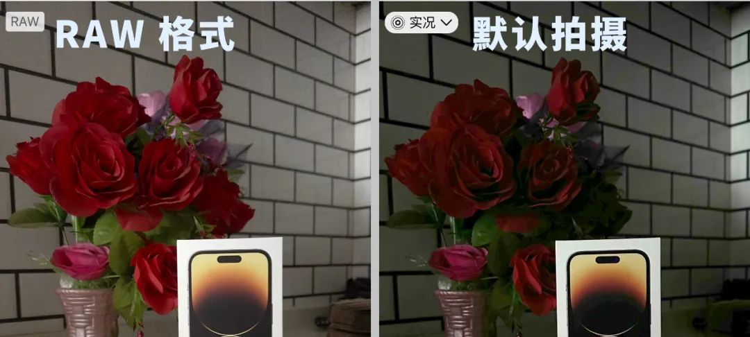 苹果手机raw的照片和普通拍摄对比,苹果raw拍照好还是实况拍照好