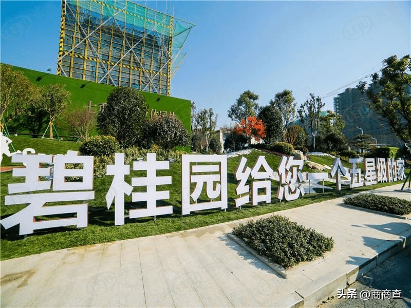 碧桂园谈保交楼,碧桂园保交楼成首要任务