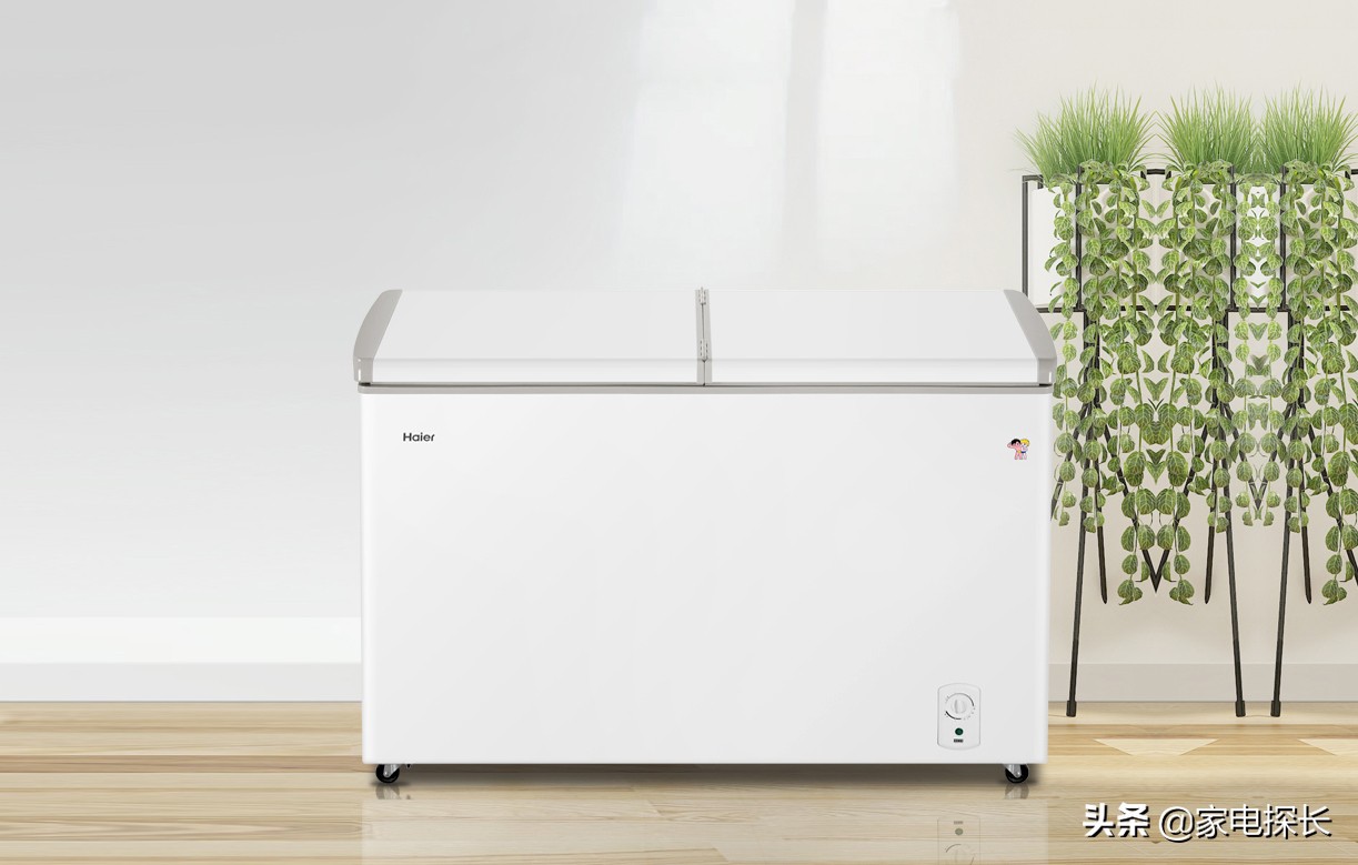 家庭速冻冷柜什么牌子好,冷柜怎么选牌子