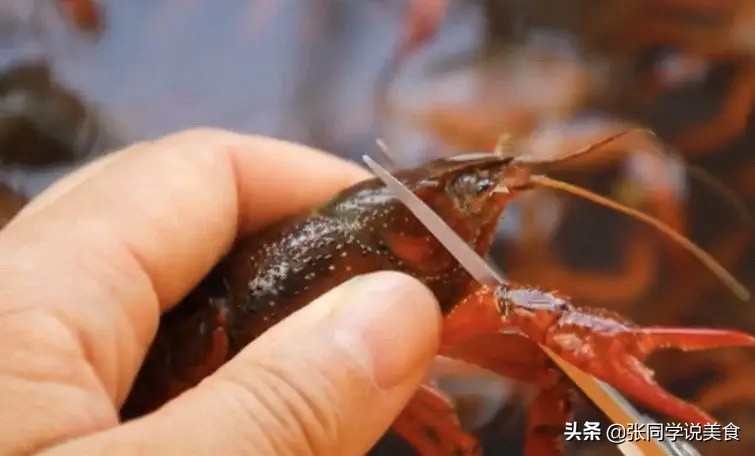 小龙虾怎么烧出又辣又麻那么入味,小龙虾怎么做颜色红亮