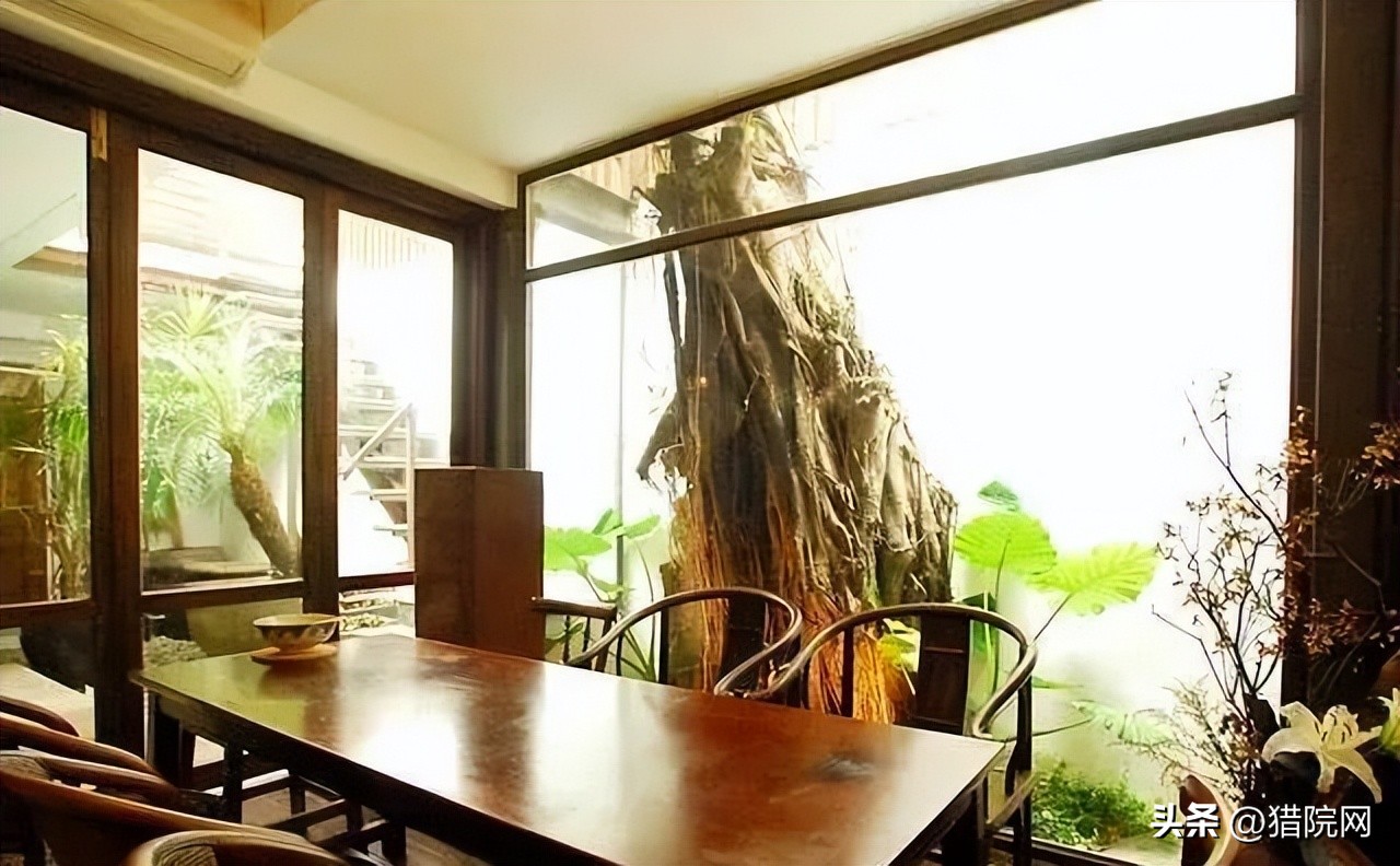 创业型农村小院,乡村创业农家小院设计方案