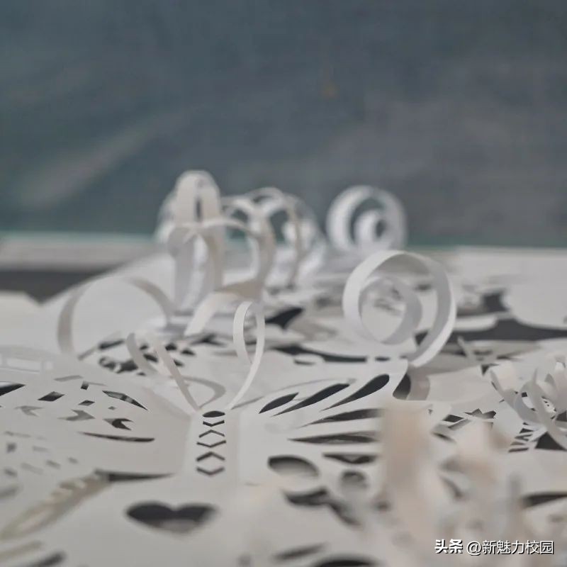 南京艺术学院毕业设计2017,南京视觉艺术职业学院毕业展