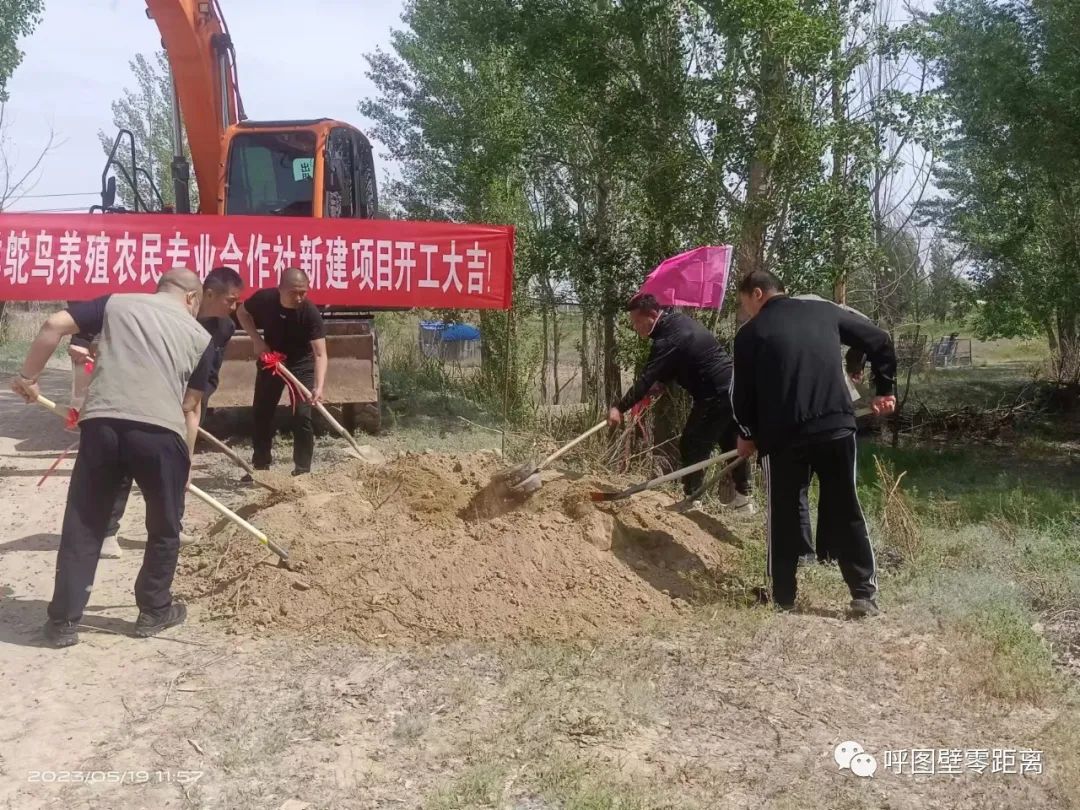 乡村振兴畜牧项目实施对策,乡村振兴养殖鸵鸟