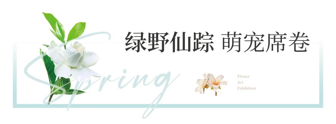 普阳绿城诚园发布会,武安普阳绿城诚园绿化现场