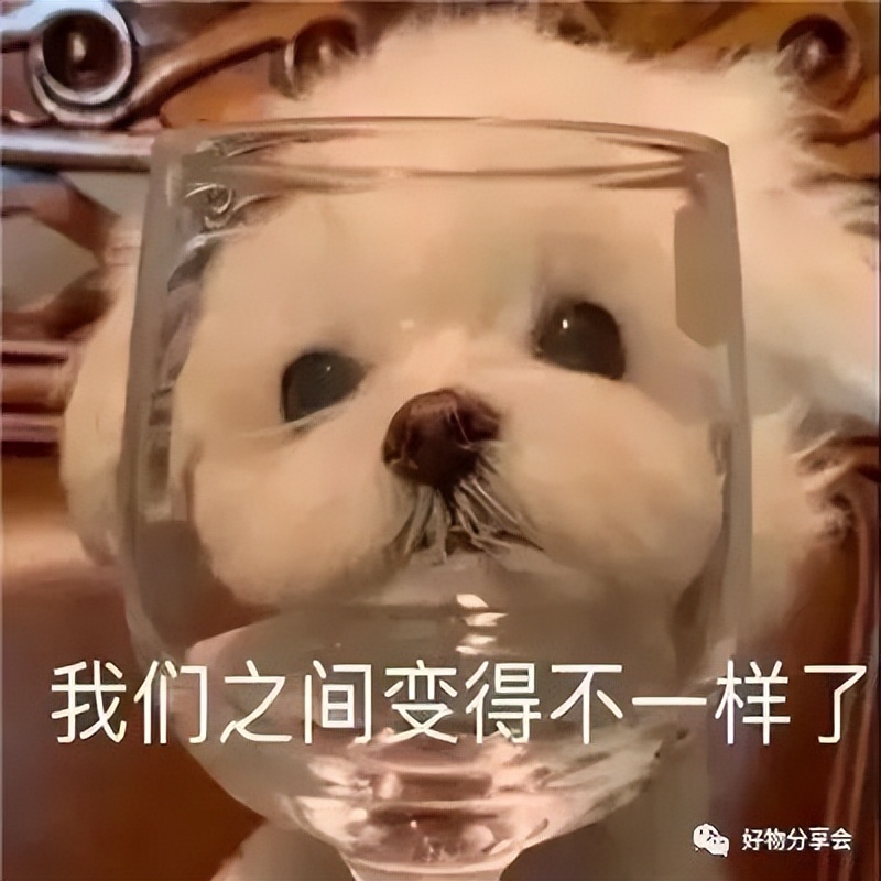 cdrx6表格工具,cdr快捷键大全图文