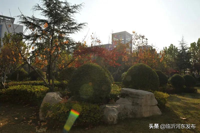 二十二天，二十四中人的热爱与坚守