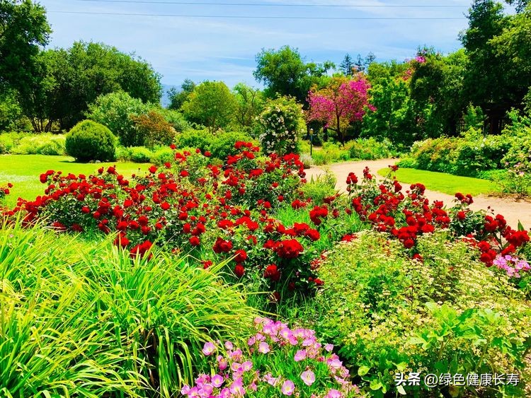 世界花园风景,世界花园