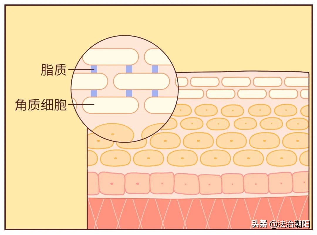 手指长倒刺缺乏哪种维生素,宝宝手指倒刺是缺什么维生素