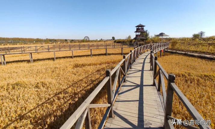 沈阳沈北周边一日游旅游景点推荐,沈阳沈北一日游适合自驾游的地方