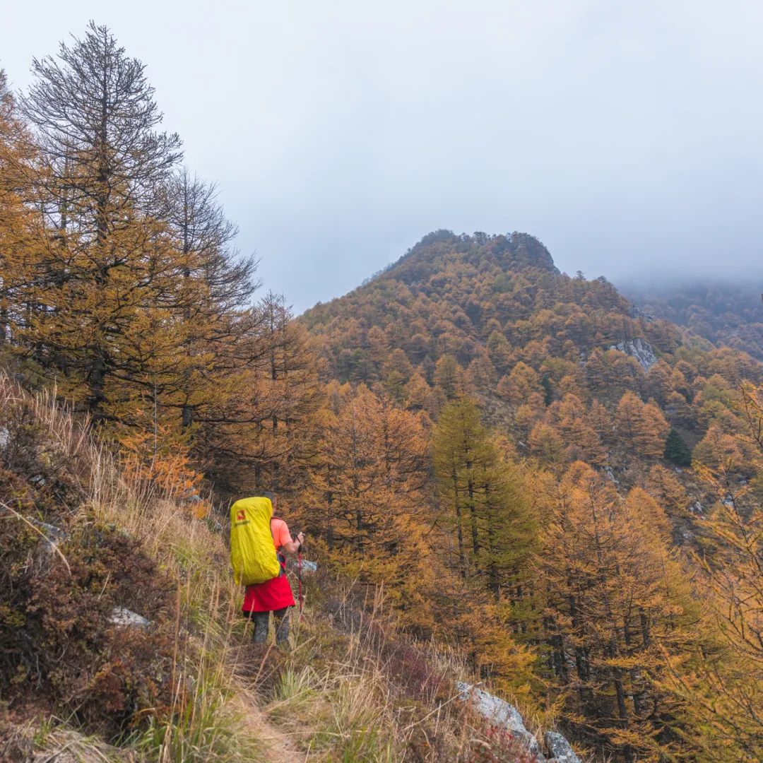 登太白山感受,太白山景区登顶拔仙台