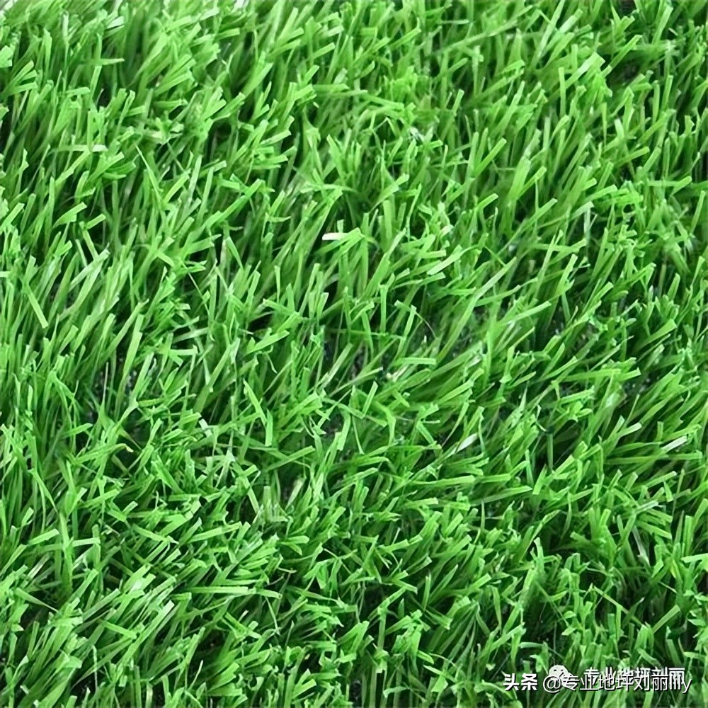 （专业地坪刘丽）运动草坪