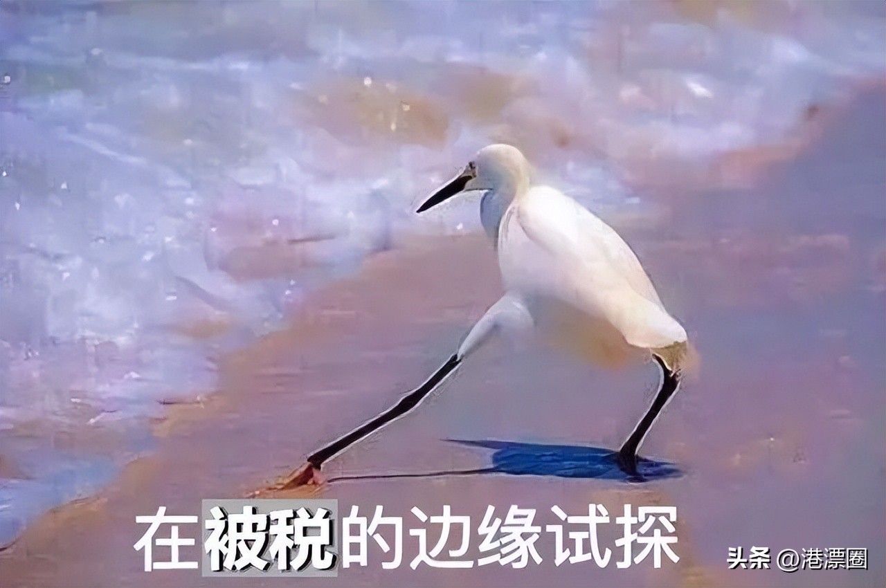 香港值得带回内地的药,香港回内地哪些药不能带