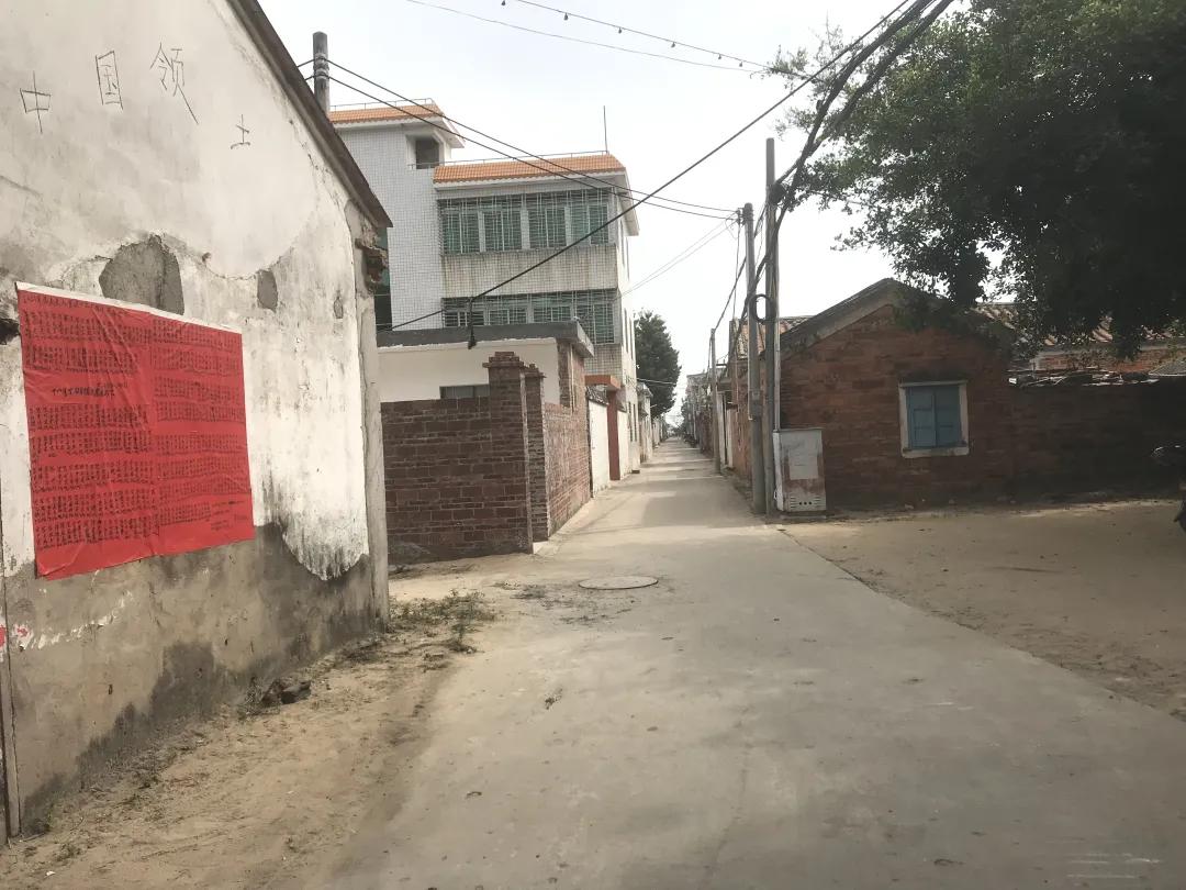 寒假社会实践寻访,寒假社会实践志愿活动内容