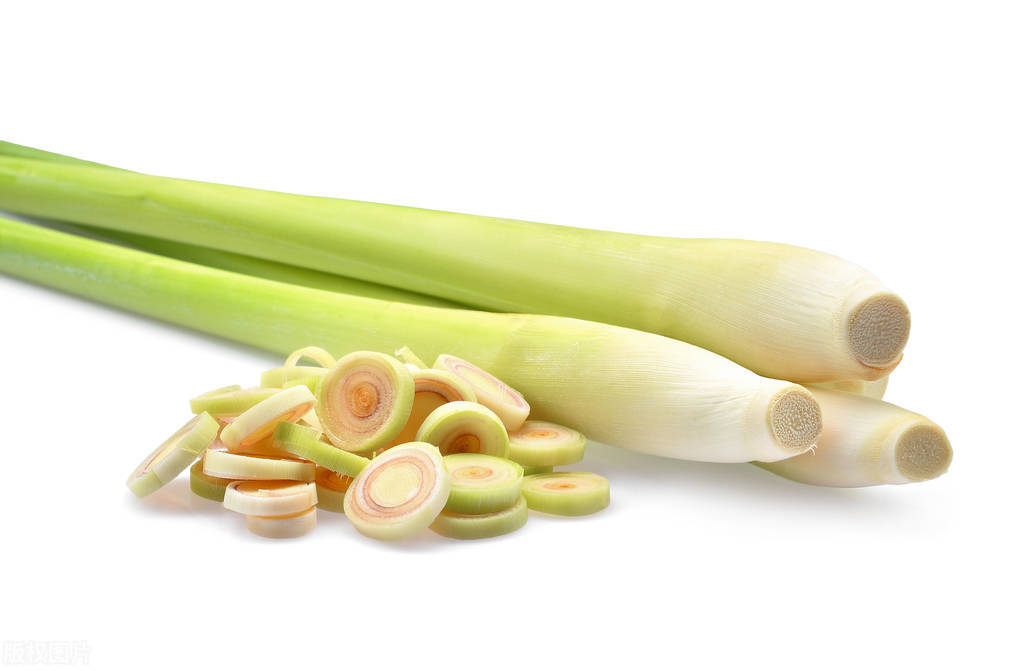 适合暗恋表白送的花,象征暗恋的花有哪些