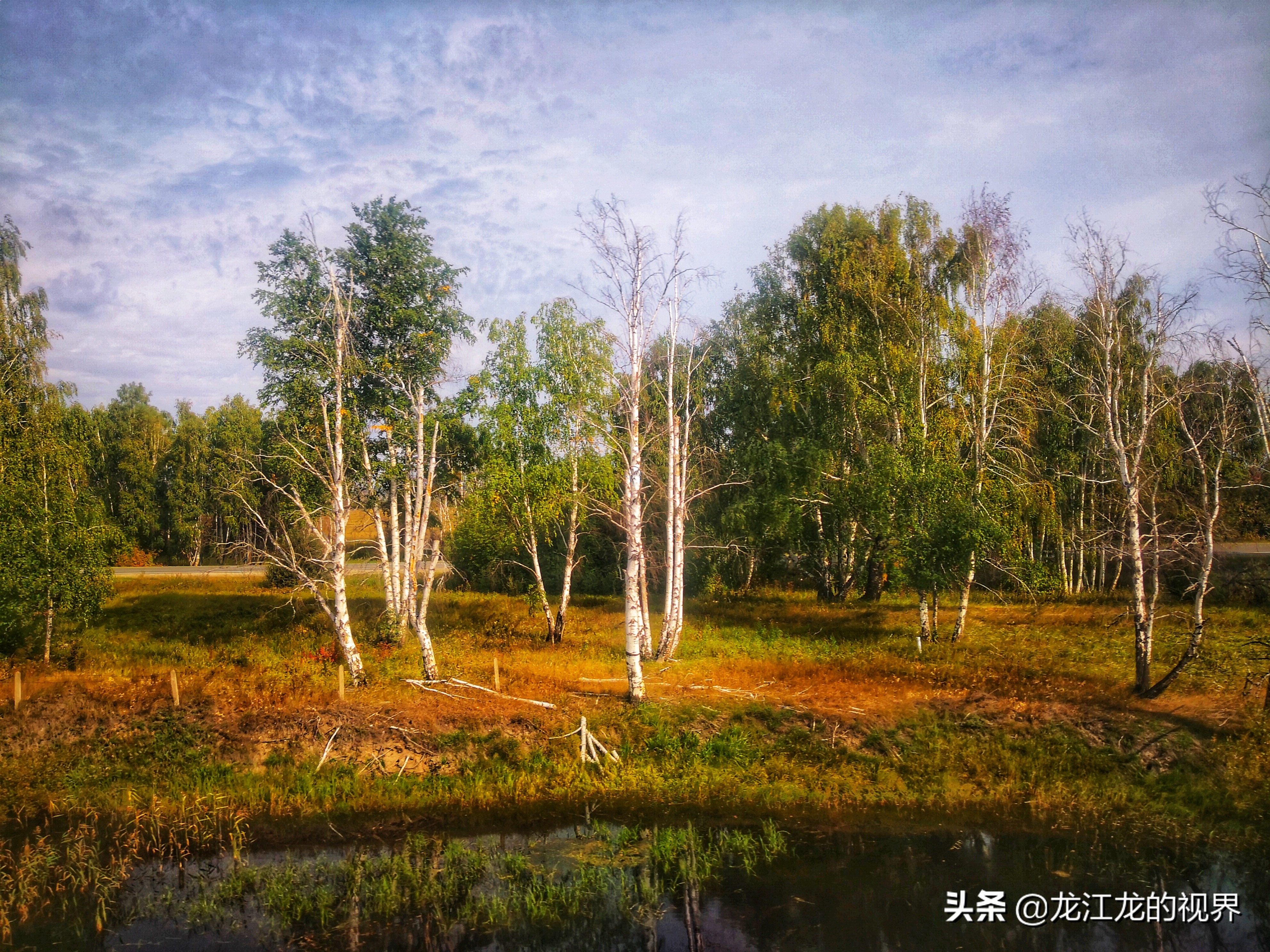 龙行天下北京游,龙行天下之北京