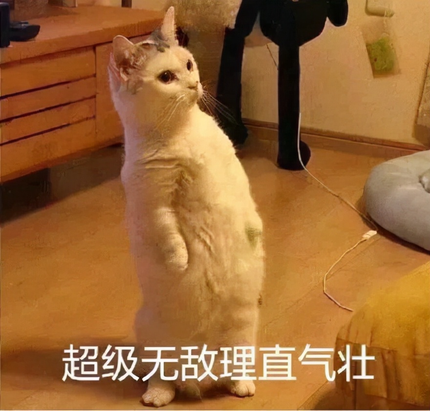 中国暴打日本人,中国鳗鱼咬人事件