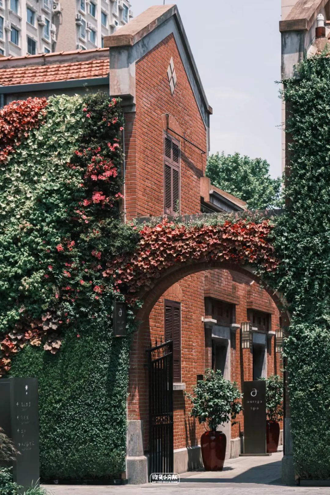 上海最好吃最便宜的火锅在哪里,上海最好吃的小吃在哪几条路上