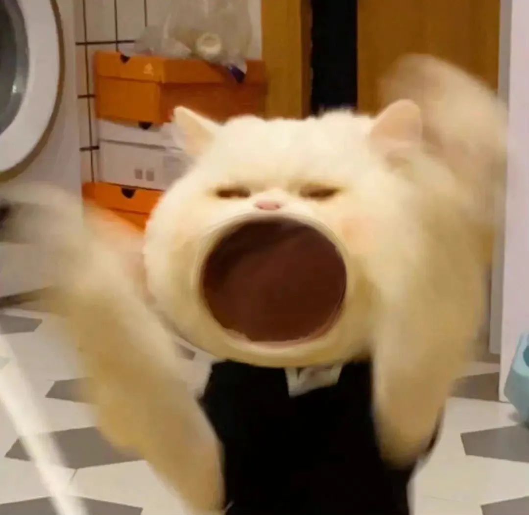 要礼物表情包,表情包给我抱抱