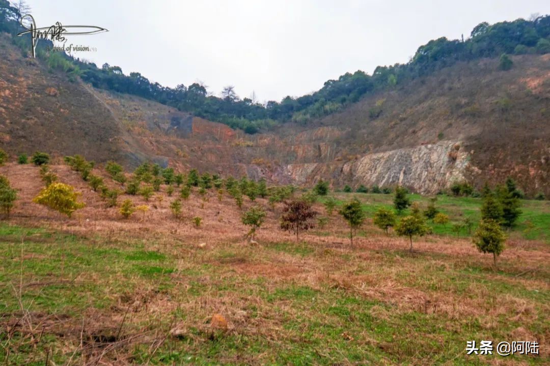 皋亭山景区有庙吗,皋亭山风景区是如何建成的