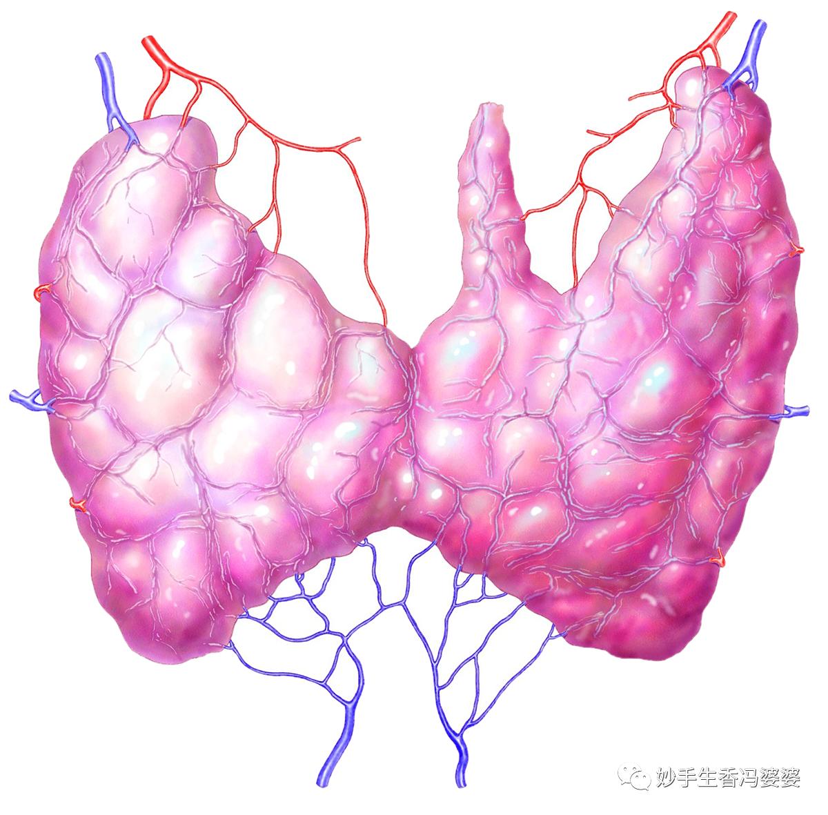甲状腺最坏的三个习惯,关于甲状腺的5个小秘密