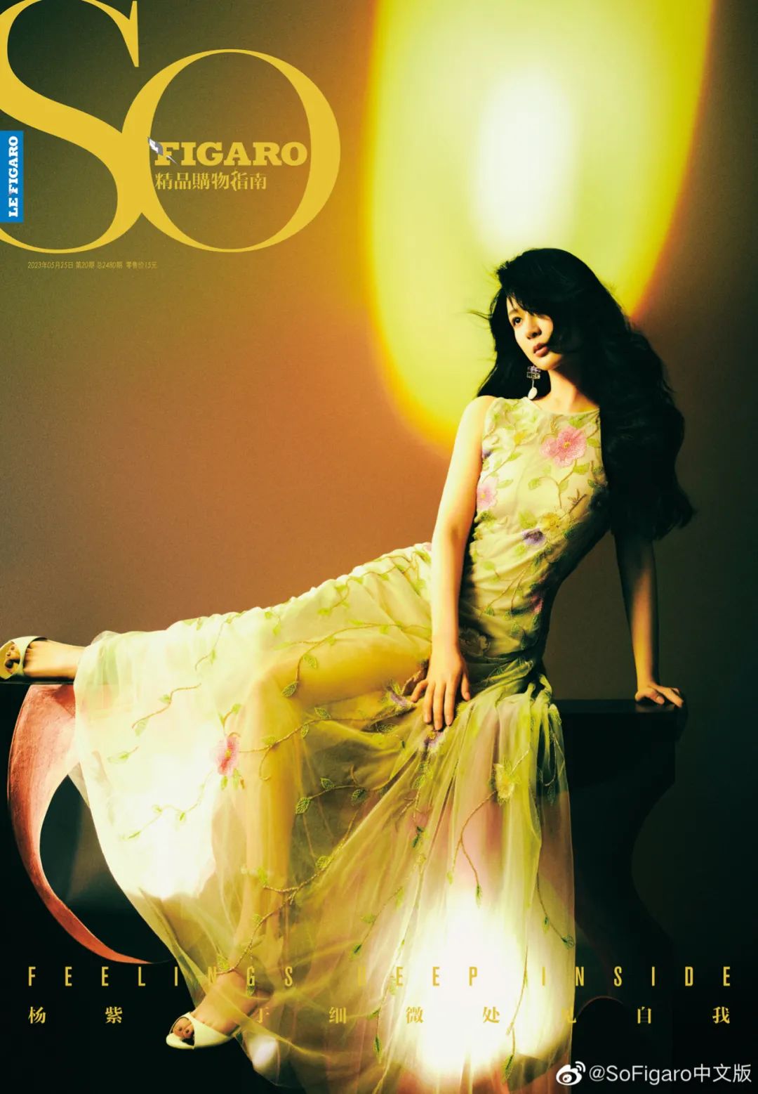 杨紫张一山成功转型,杨紫怎么做才能转型成功