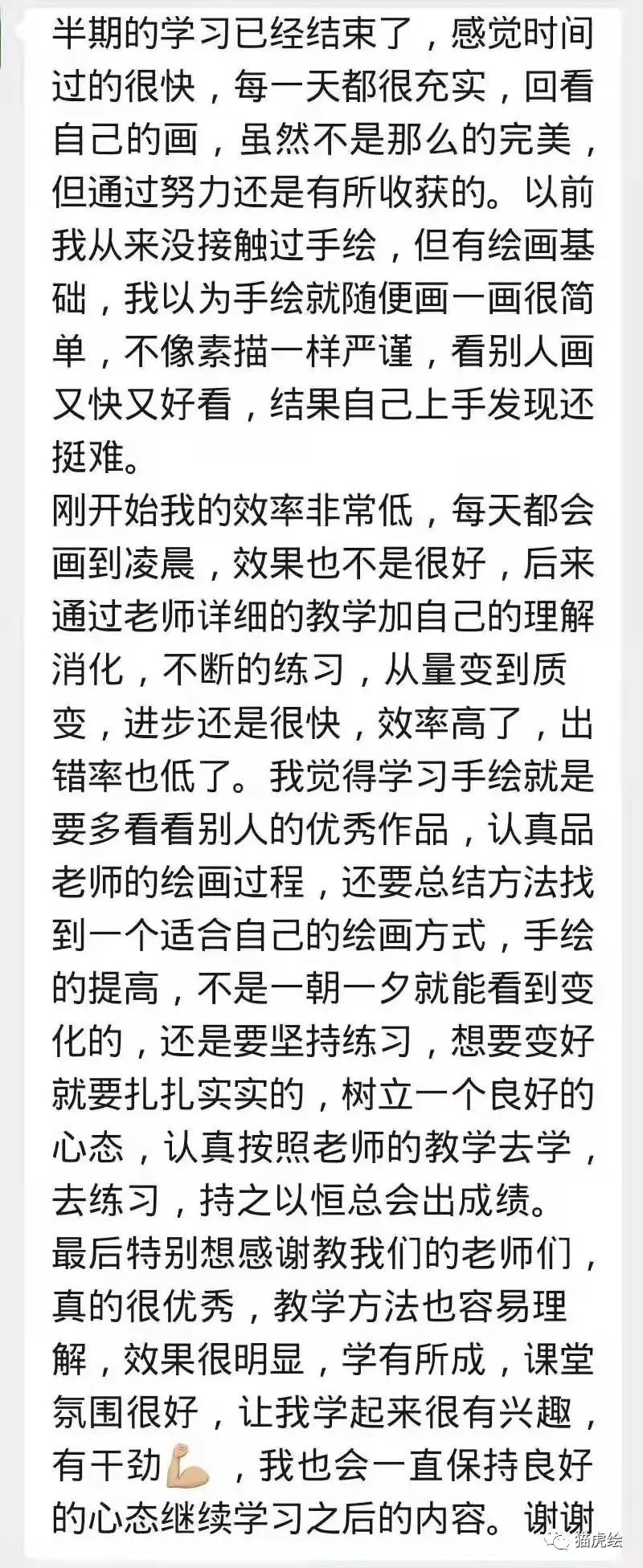 2022猫虎绘暑假手绘班招生简章「线上+线下」