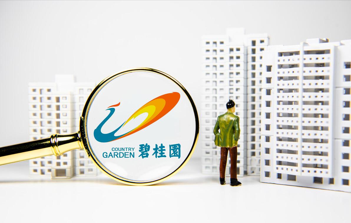 恒大和碧桂园为什么会负债,恒大暴雷后房贷还需要还么