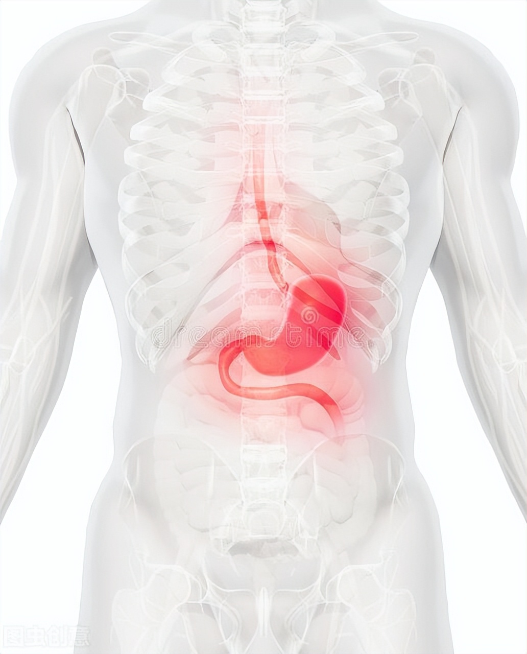 中医胃病辨证,胃病中医如何辨证