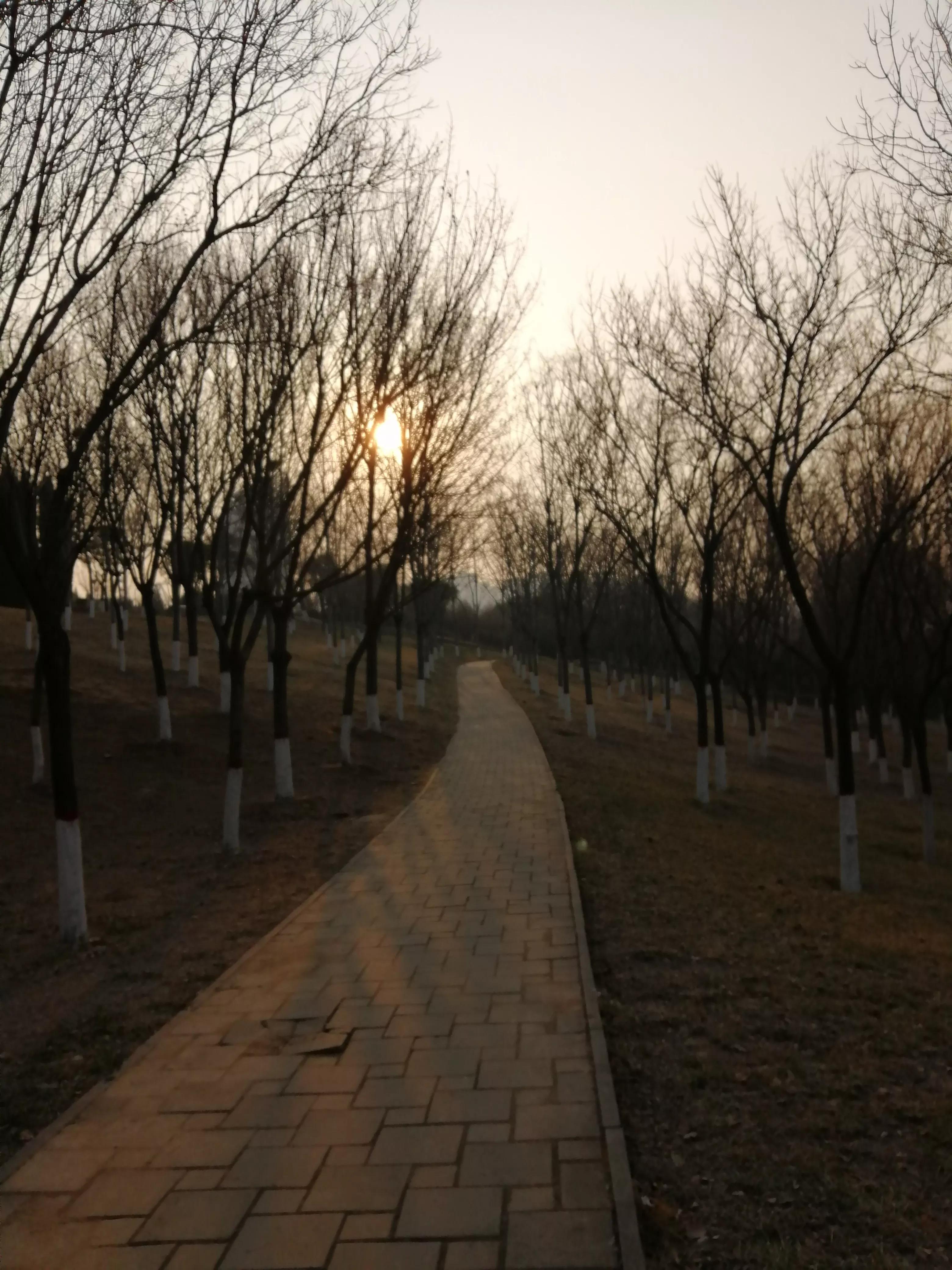 入学前入学后变化,上学前后的对话