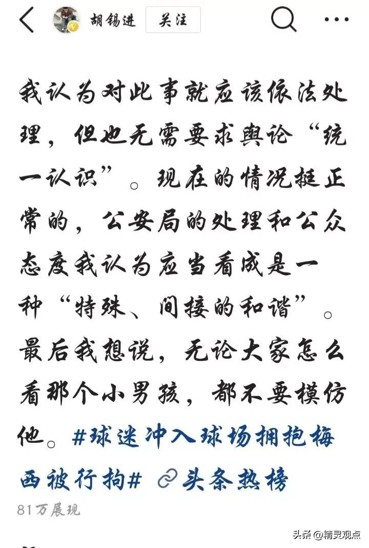 球迷冲入球场拥抱梅西被行拘点评,冲进球场拥抱梅西的道歉视频