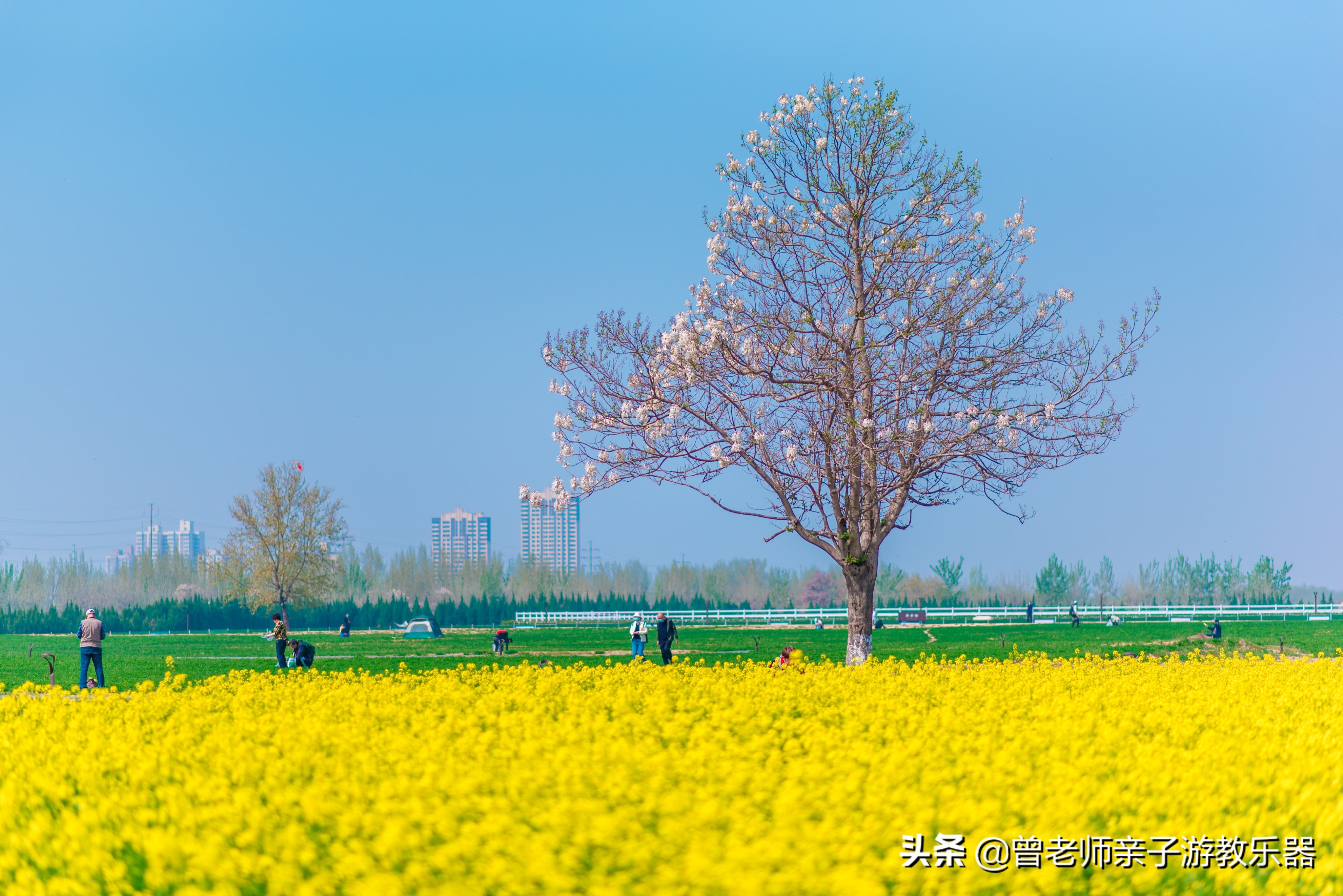 2022西安遛娃一日游的绝佳去处,2022年春节西安遛娃去哪玩最合适