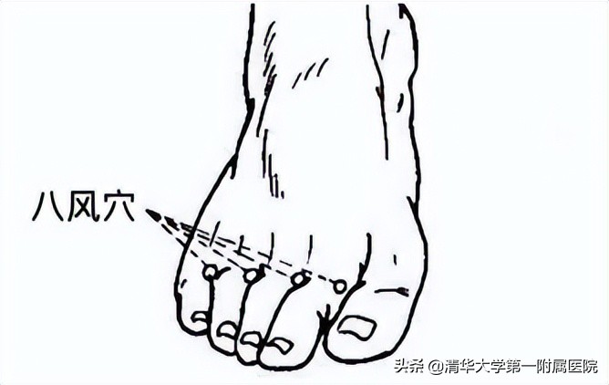 常揉脚的正确方法,睡前揉脚最好的方法