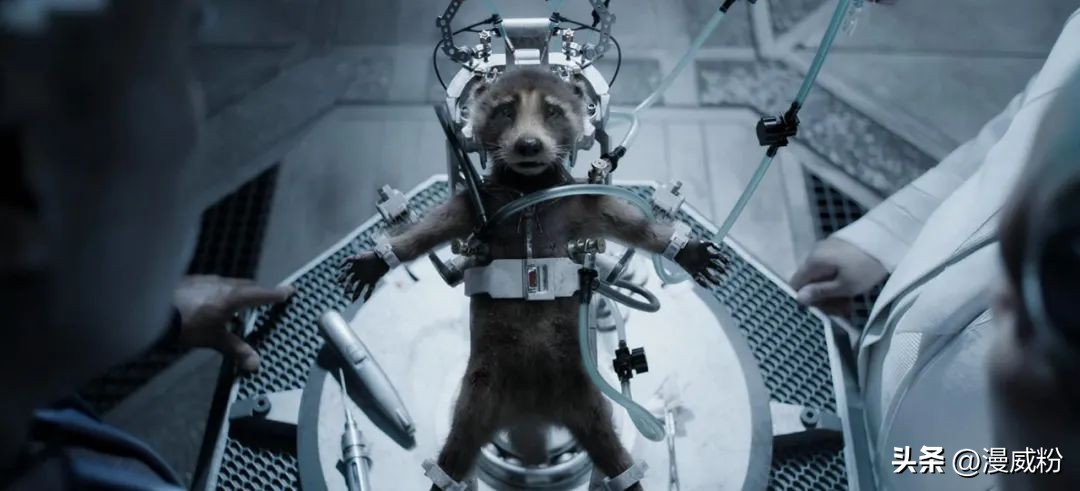 银护3谁牺牲了,银护3众人结局