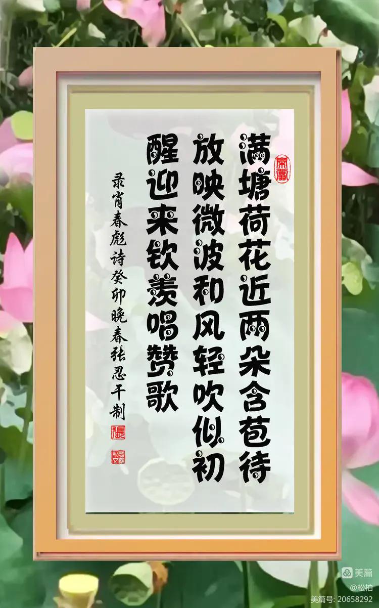 诗图战友情（九十五）荷花别样红