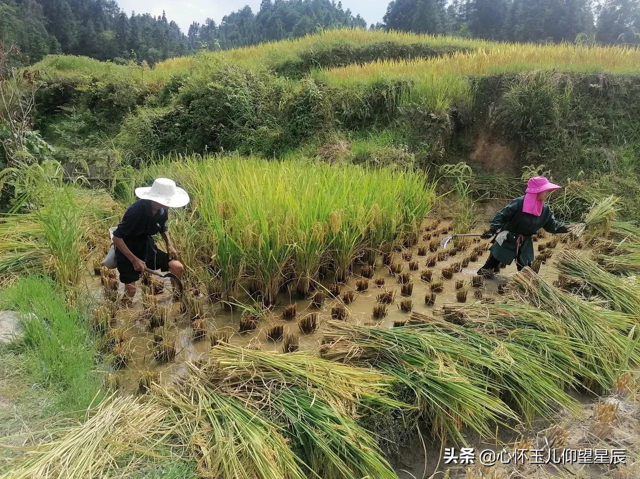 一旦发生战争需要购买什么物资,一旦战争打起来什么东西最不值钱