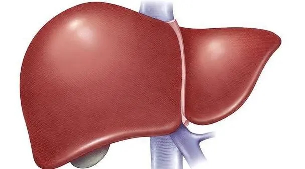 嗓子里总是有痰咳不干净的方子,针对慢性咽喉炎化痰的方法