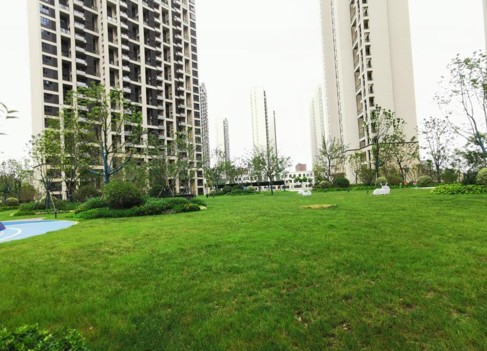 华润、乐富强、海亮……阜阳6大小区一致好评